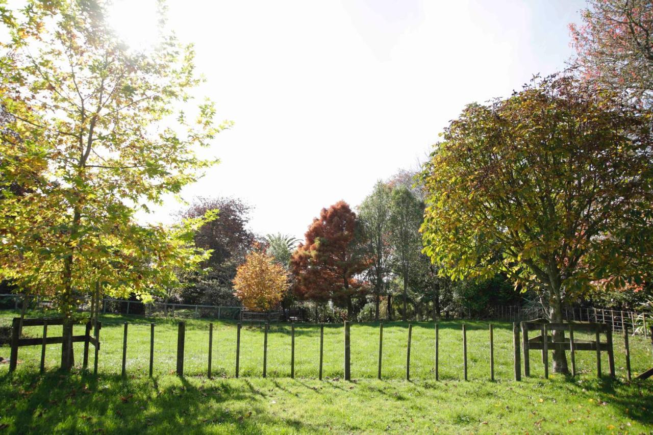 Somersal Bed & Breakfast Pirongia Exterior photo
