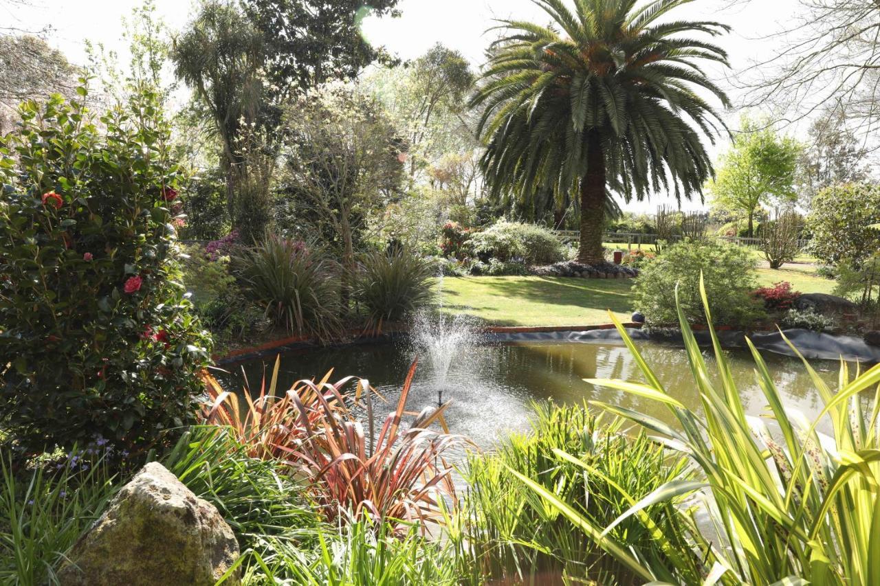Somersal Bed & Breakfast Pirongia Exterior photo